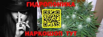 шишки Апшеронск