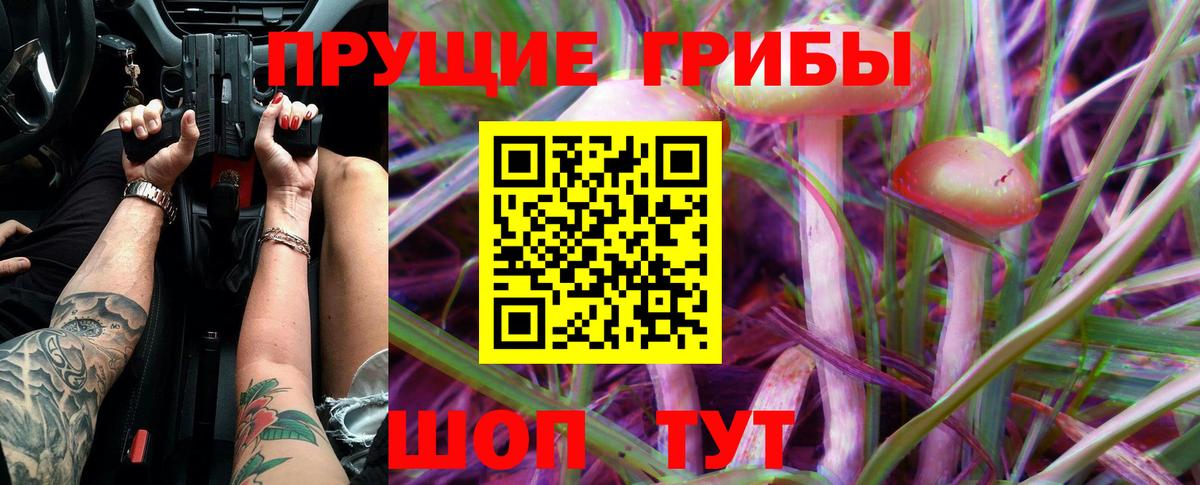 Владимир  Псилоцибиновые грибы мицелий  Вход с VPN  Галлюциногенные грибы мухоморы 