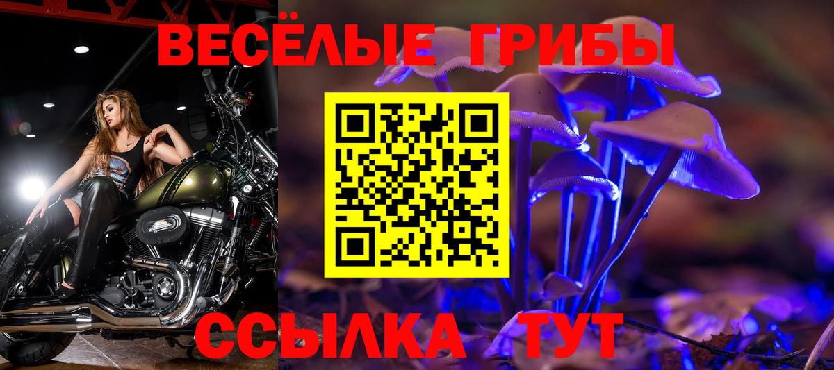 Галлюциногенные грибы ЛСД Владимир